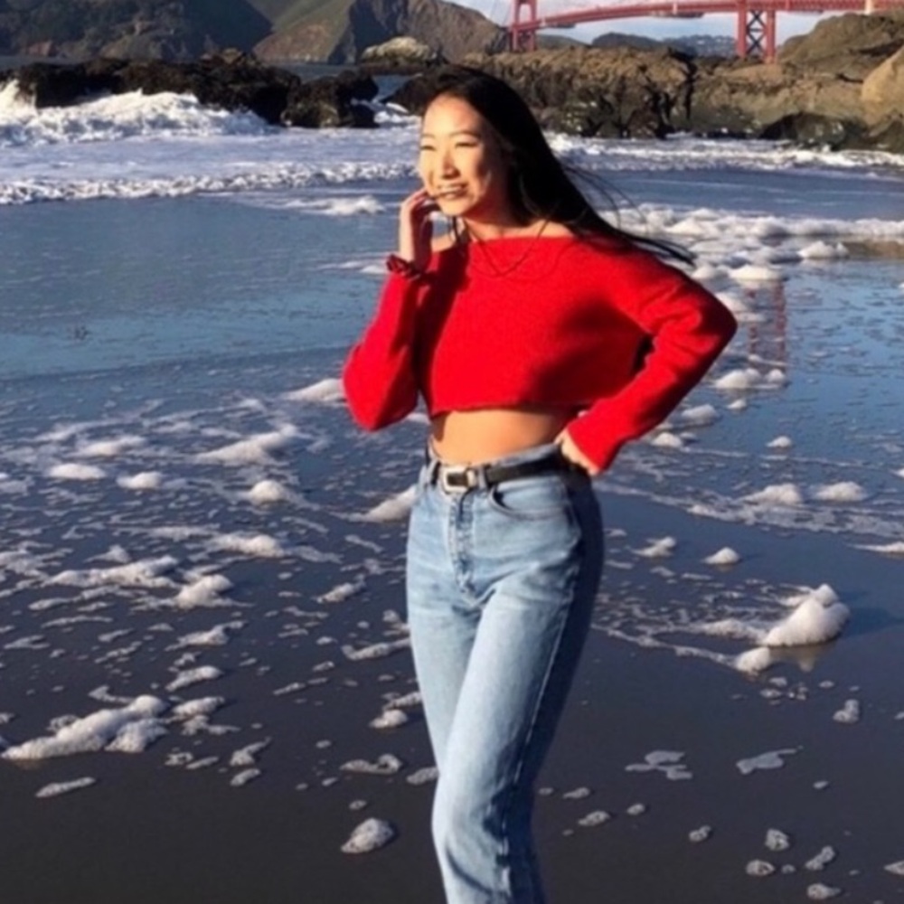 Princess Polly, vibrant rag, cropped sweater, bell sleeves
